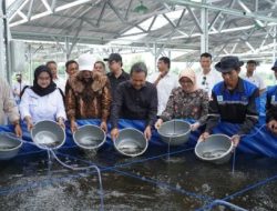 KKP Proyeksikan Boyolali Jadi Pusat Penghasil Lele di Jateng
