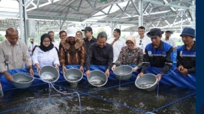 KKP Proyeksikan Boyolali Jadi Pusat Penghasil Lele di Jateng