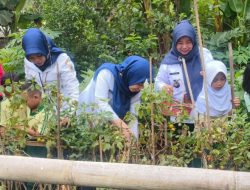 Camat Kelapa Gading Bersama Murid PAUD Panen sayuran dan ikan di Lahan Urban Farming di Kebun Cempaka