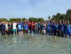 Sudin SDA Kepulauan Seribu Tanam Ratusan Bibit Mangrove di Pulau Pramuka