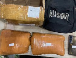 Polda Metro Jaya Menggagalkan Peredaran Ganja 2KG di Depok, Satu Tersangka Diamankan