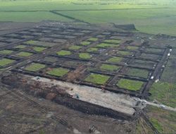 KKP Mulai Pembangunan Tambak Udang Terintegrasi di Waingapu