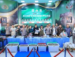 Polda Riau Bekuk 15 Tersangka Jaringan Perburuan Gajah Sumatera Lintas Provinsi