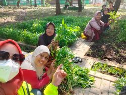 Taman Asy-Syuhada Hadirkan Manfaat Nyata: Panen Kangkung hingga Program Herbal Gratis untuk Warga