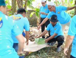 Perkuat Solidaritas Sosial, GARUDA Salurkan Hewan Qurban dan Bagikan 175 Kantong Daging kepada Warga
