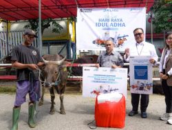 Perkuat Kepedulian Sosial di Hari Raya Iduladha, PTP Nonpetikemas Salurkan 27 Hewan Kurban