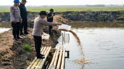 Polda Metro Jaya Tebar 15 Ribu Benih Bandeng dan 150 Ribu Udang Vaname di Muaragembong, Perkuat Ketahanan Pangan