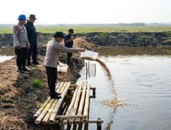 Polda Metro Jaya Tebar 15 Ribu Benih Bandeng dan 150 Ribu Udang Vaname di Muaragembong, Perkuat Ketahanan Pangan