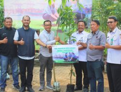 Pelindo Regional 2 Sunda Kelapa Peringati Hari Lingkungan Hidup Sedunia, Berikan Bantuan 250 Bibit Pohon untuk Wilayah Kelurahan Penjaringan