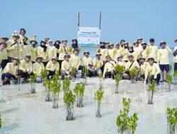 Dukung Mitigasi Perubahan Iklim, PHI Tanam 1.000 Mangrove dan 500 Lamun di Pulau Pari