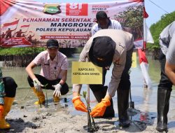 Polres Kepulauan Seribu Tanam 2.000 Mangrove dan Salurkan Bansos dalam Semangat HUT RI ke-81