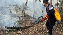 Brimob Polda Jambi Gerak Cepat Padamkan Karhutla di Kabupaten Tebo