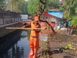 Penataan Kawasan Unggulan di Gaya Motor Rampung