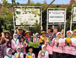 SDN Cengkareng Barat 13 Manfaatkan Lahan Sekolah untuk Kembangkan Urban Farming