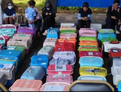 Festival Sehat Satukan Edukasi Gizi, Kesehatan Hewan, dan Penguatan Ekonomi Warga