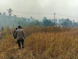 Brimob Malut Respons Cepat, Bersinergi Padamkan Kebakaran Lahan di Desa Tewil