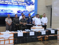 Polri Ungkap Jaringan Penyelundupan Baby Lobster Lintas Negara, Dua Pelaku Ditangkap