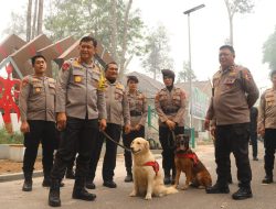 Polri: Perkuat Patroli Hutan Terpadu, Rescue Satwa Terdampak dan Pengamanan agar Orang Utan Terlindungi