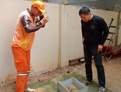 Kelurahan Semper Barat Beri Contoh Positif Lewat Budi Daya Maggot