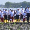 Pelindo Dukung Pemulihan Ekosistem Mangrove di Demak