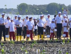 Pelindo Dukung Pemulihan Ekosistem Mangrove di Demak